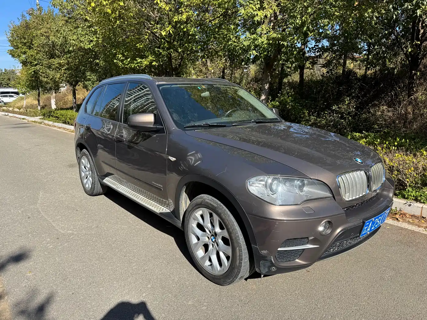 BMW X5 (Import) 2013 xDrive35i Luxury фото 7