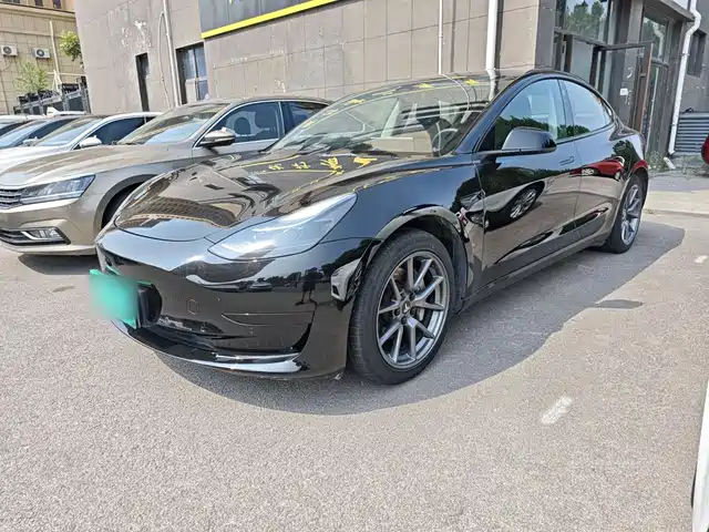 Tesla Model 3 Задний привод