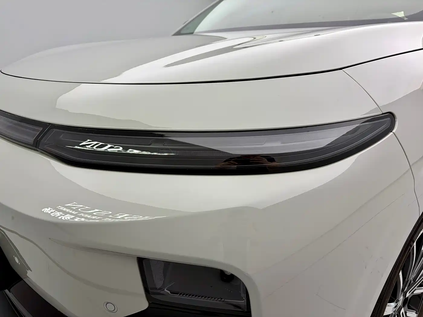 2026 Leapmotor B10