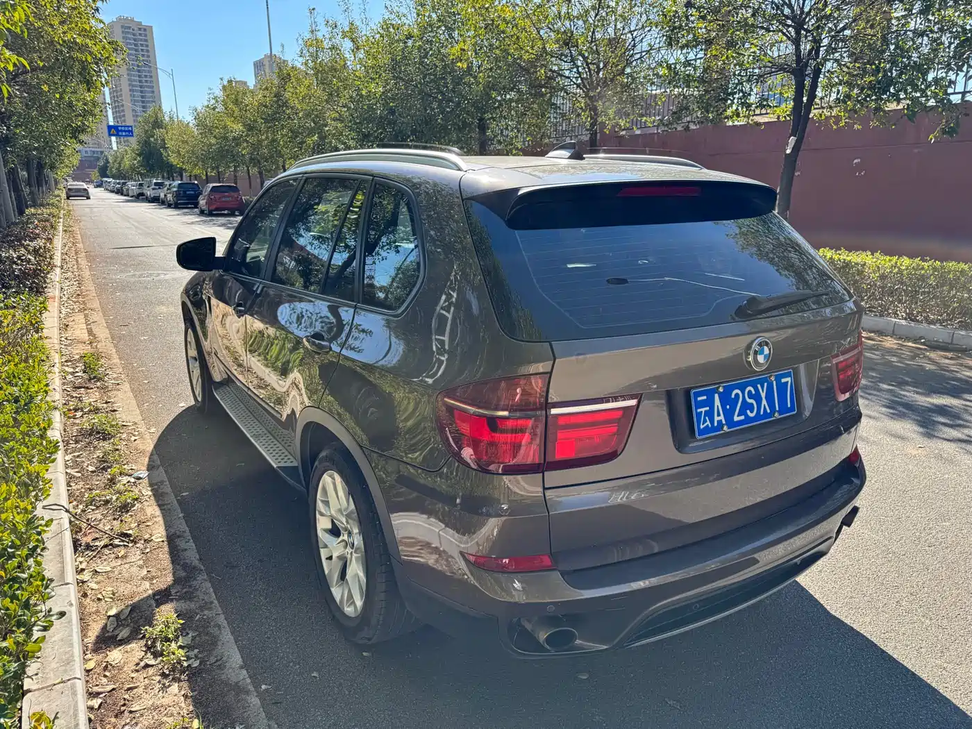 BMW X5 (Import) 2013 xDrive35i Luxury фото 6