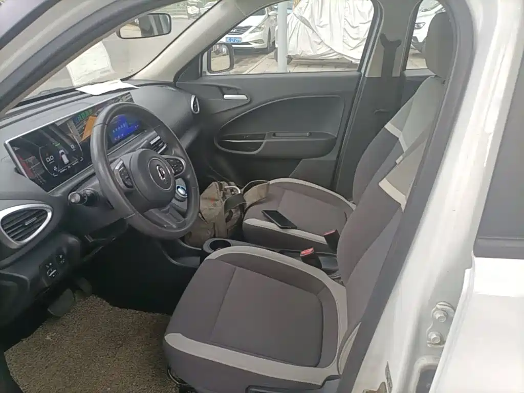 Ora White Cat 2020 2020 360km Luxury Model