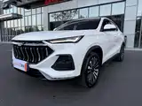 Фото 1 - Changan Oshan Changan Oushang X5