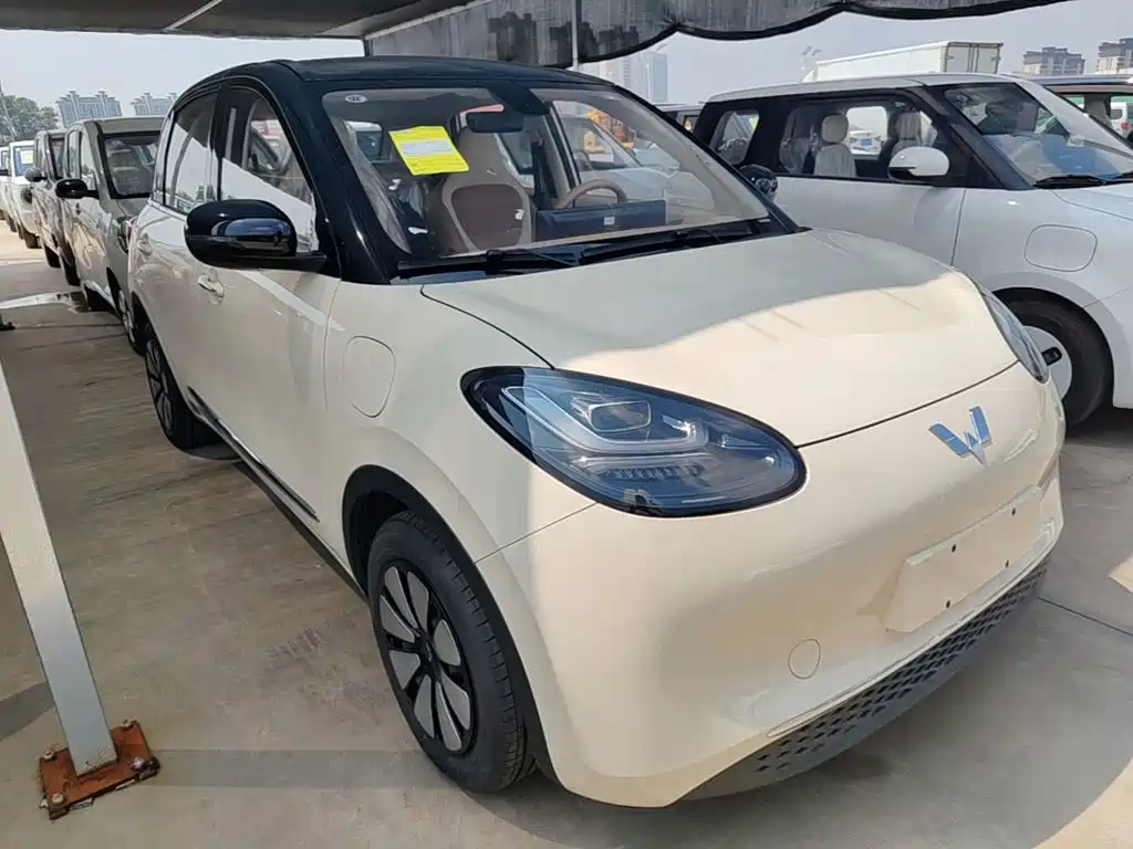 Wuling Motors Wuling Bingo 2026 2025 Model 333km Joy Edition
