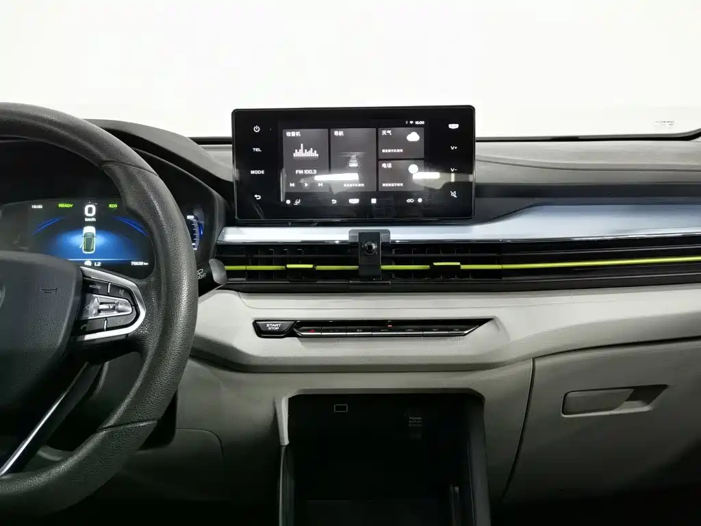 Geely Geometry EX3 Kung Fu Bull 2022 2021 Strong Bull