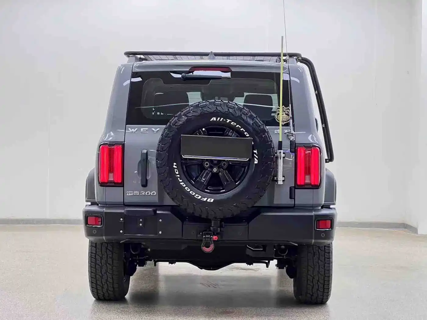 Tank 300 2021 2021 Off-road Version 2.0T Conqueror
