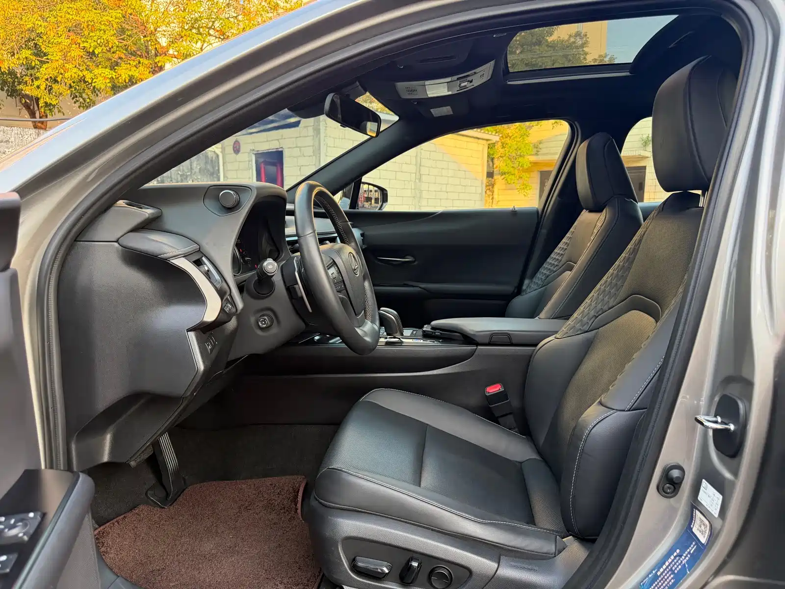 صورة 4 - Lexus UX Electric