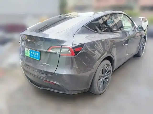 Tesla Model Y 2024 Rear-Wheel Drive Version — фото 2