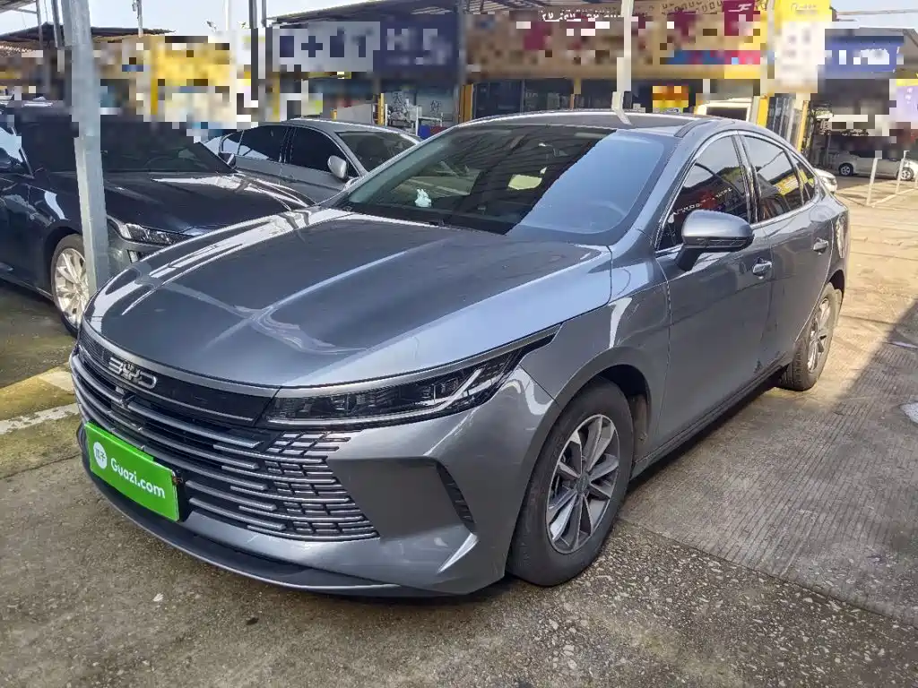 BYD Destroyer 05 2024 Glory Edition DM-i 55KM Luxury