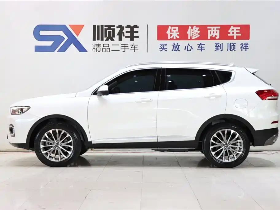 Haval H6 2020 1.5GDIT Automatic Platinum Luxury Edition фото 6