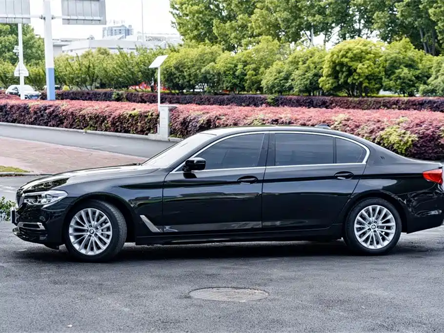 BMW 5 Series 2020 530Li Premium Luxury Package фото 5