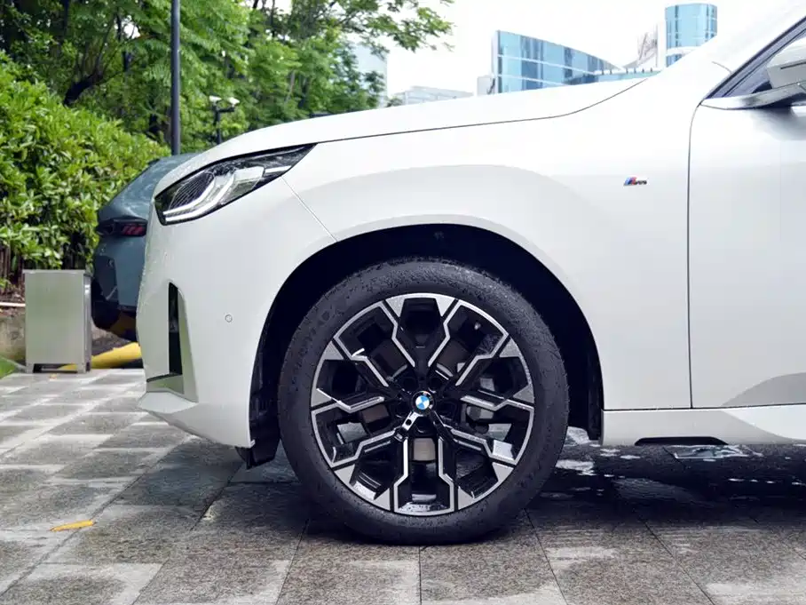 BMW X3 2025 xDrive30L Leading Model M Sport Black Package фото 14