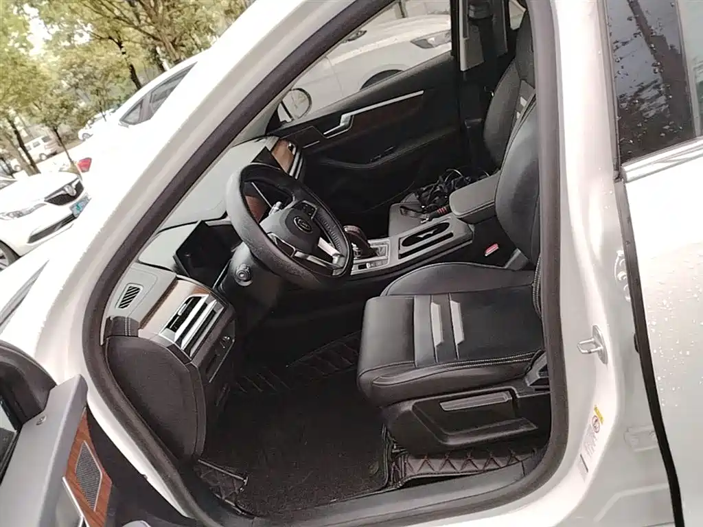 BYD Qin Pro 2020 Surpass Edition 1.5TI Automatic Premium фото 16