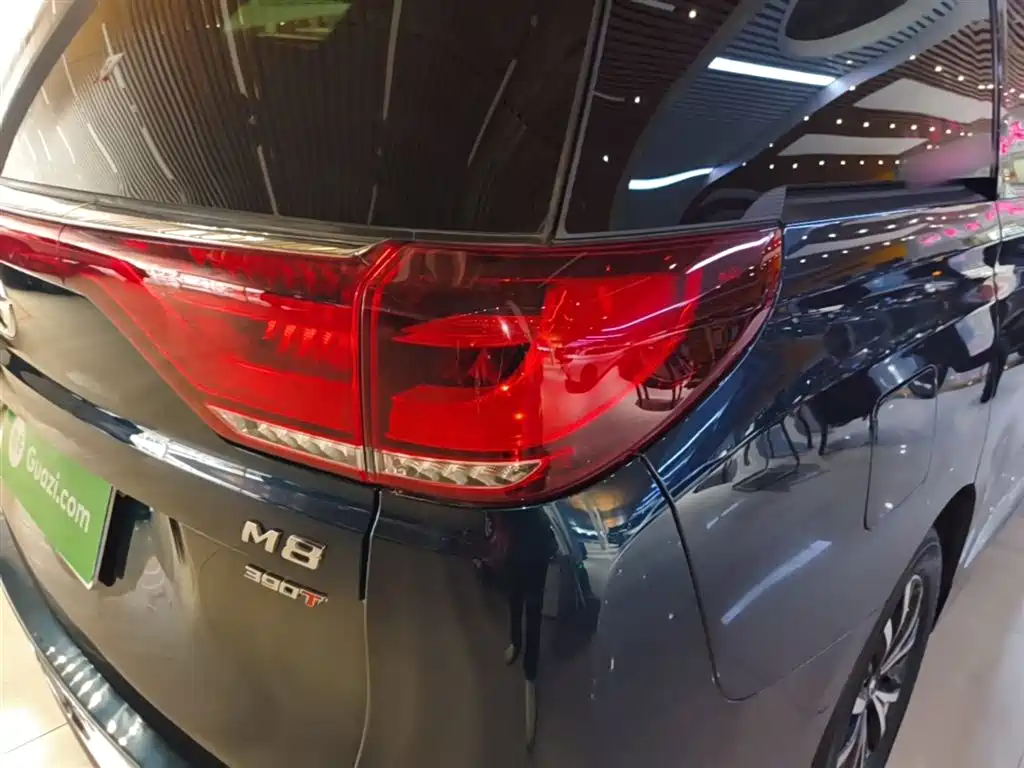GAC Trumpchi Trumpchi M8 2021 Leading Show Series 390T Premium Edition фото 8