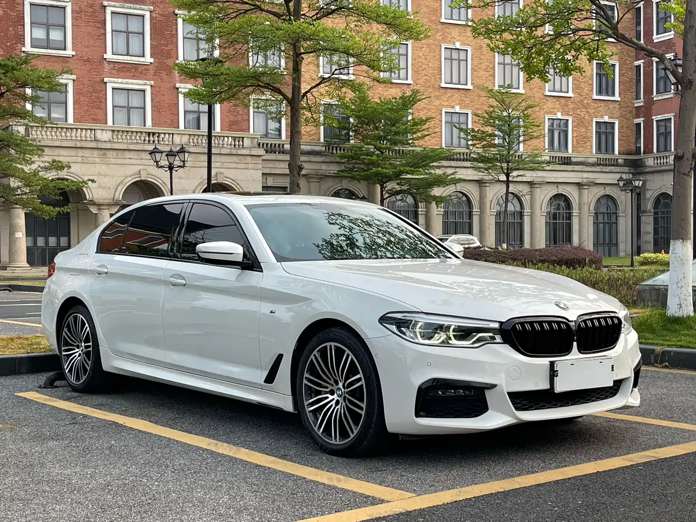 BMW 5 Series 2019 530Li Premium M Sport Package фото 3