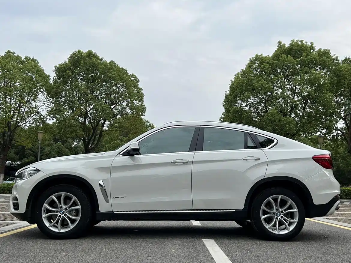 BMW X6 2015 xDrive35i Leading Type фото 6