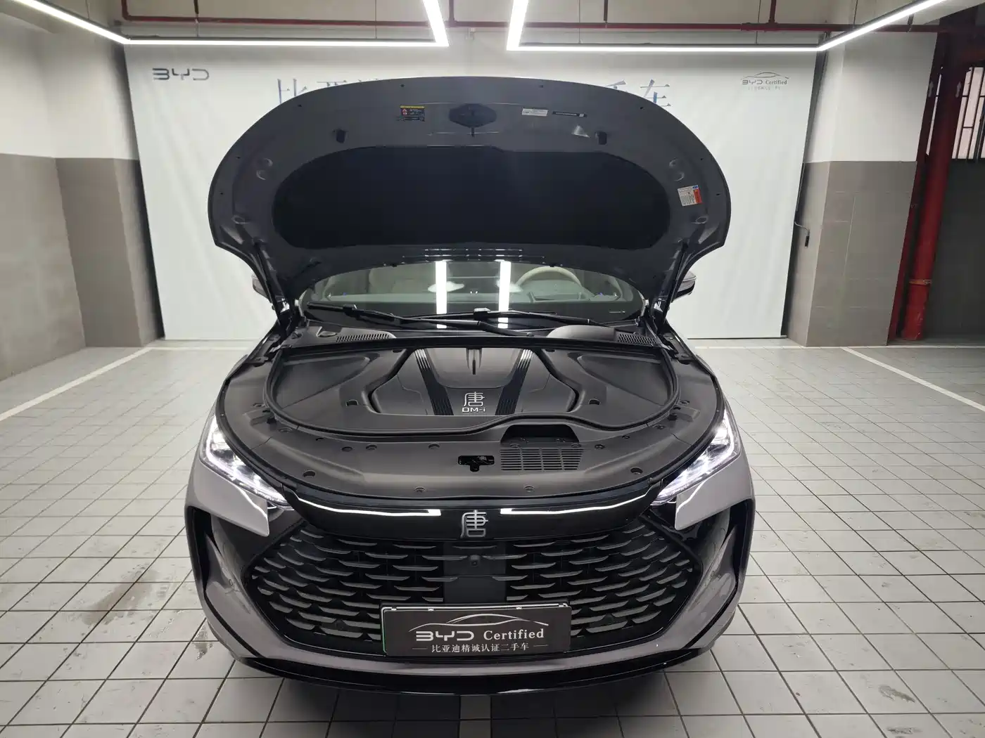 BYD Tang New Energy 2025 Smart Driving Edition DM-i 115KM Flagship фото 16