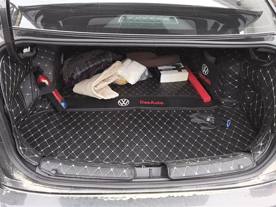 Volkswagen Sagitar 2024 300TSI DSG Surpass Edition фото 4