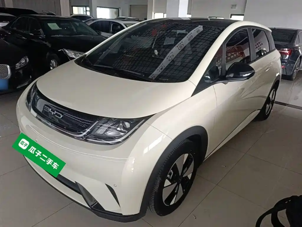 BYD Dolphin 2023 420km Fashion Edition фото 2