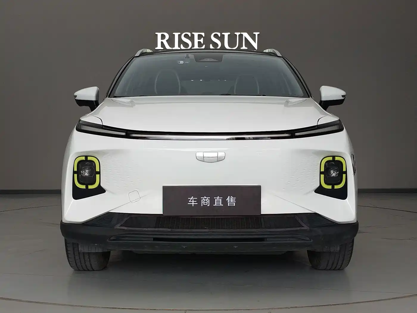 Geely Geometry E Firefly 2023 2023 401KM Thunderbolt Tiger 5-Seater