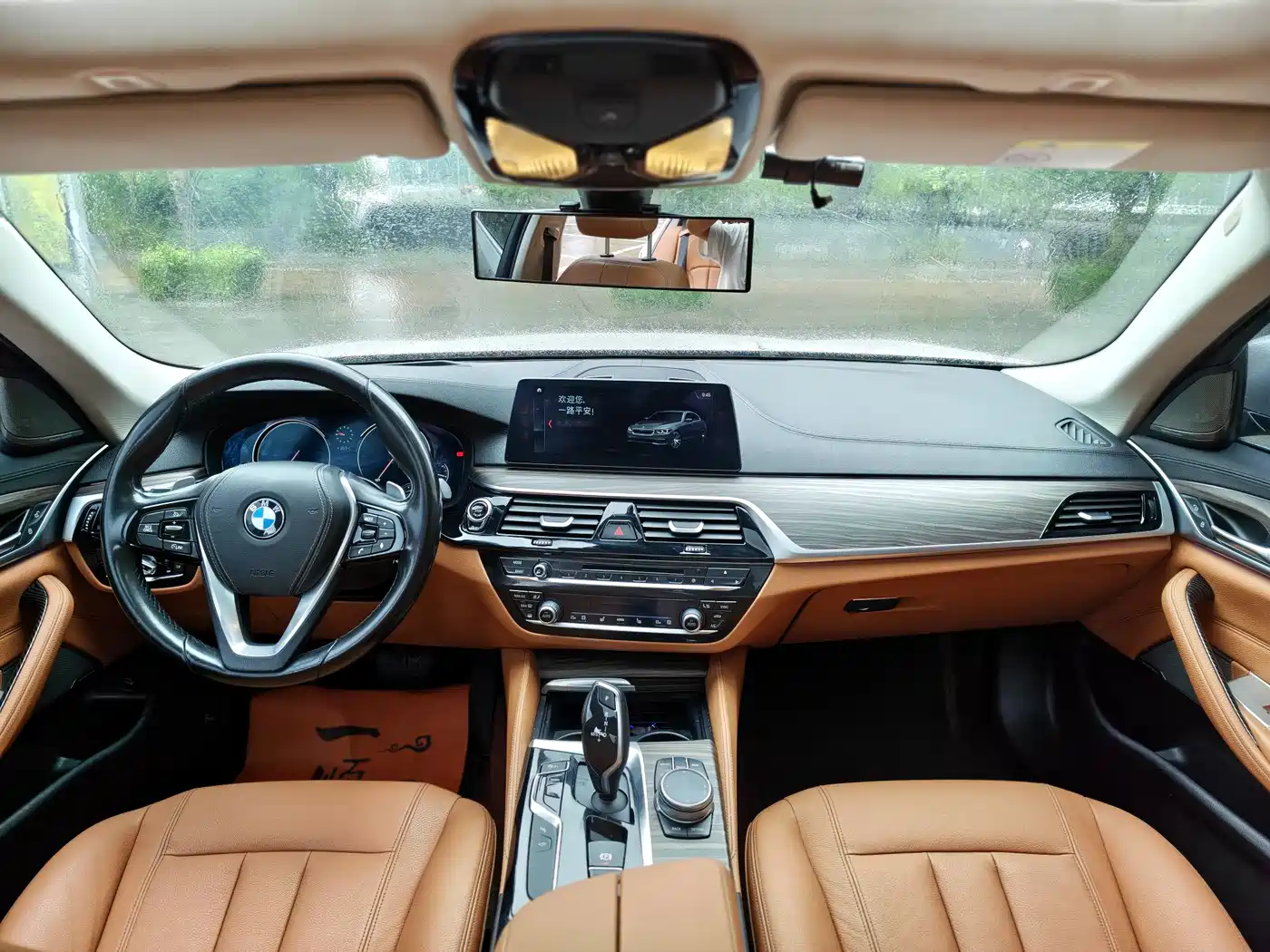 BMW 5 Series 2018 530Li Exclusive Luxury Package фото 4