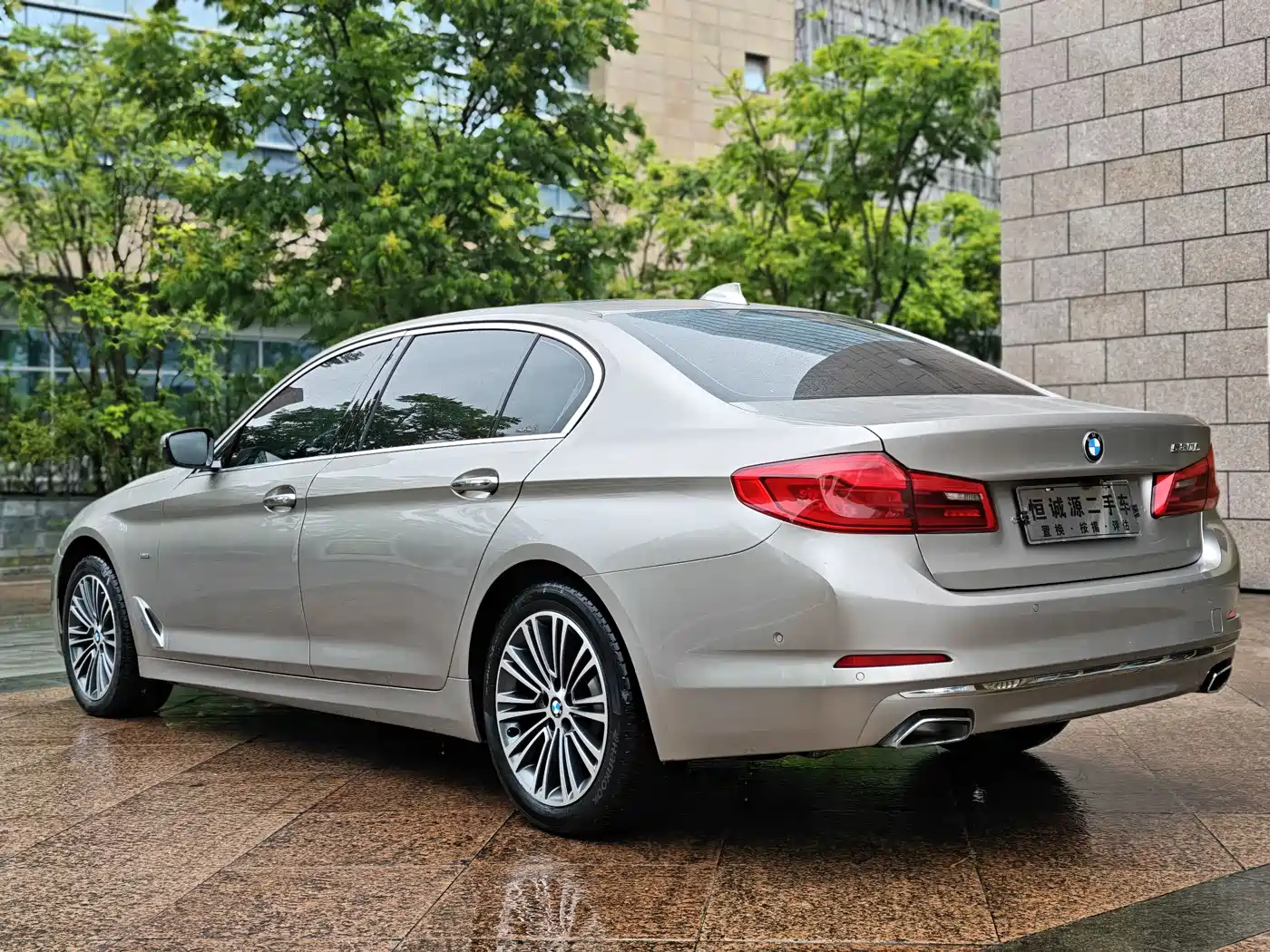 BMW 5 Series 2018 530Li Exclusive Luxury Package фото 9