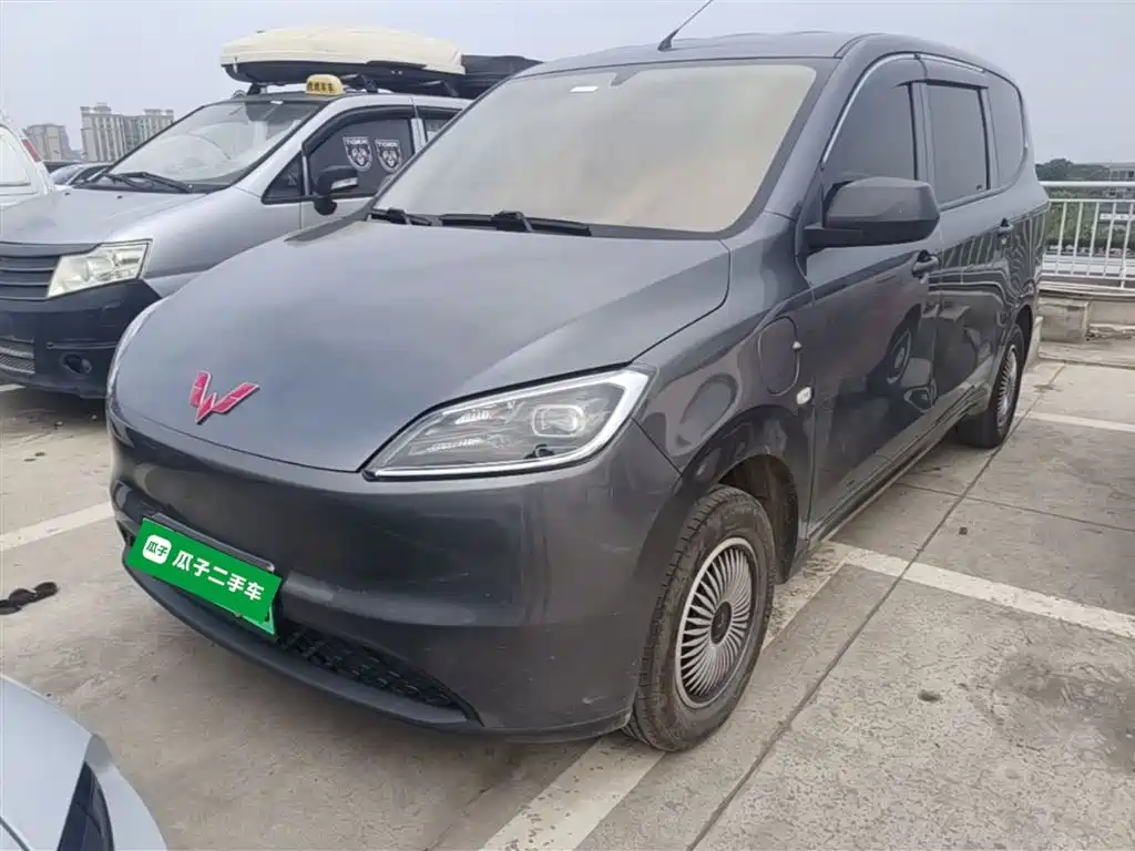 Wuling Motors Wuling Hongguang New Energy 2024 Pure Electric 300KM Standard
