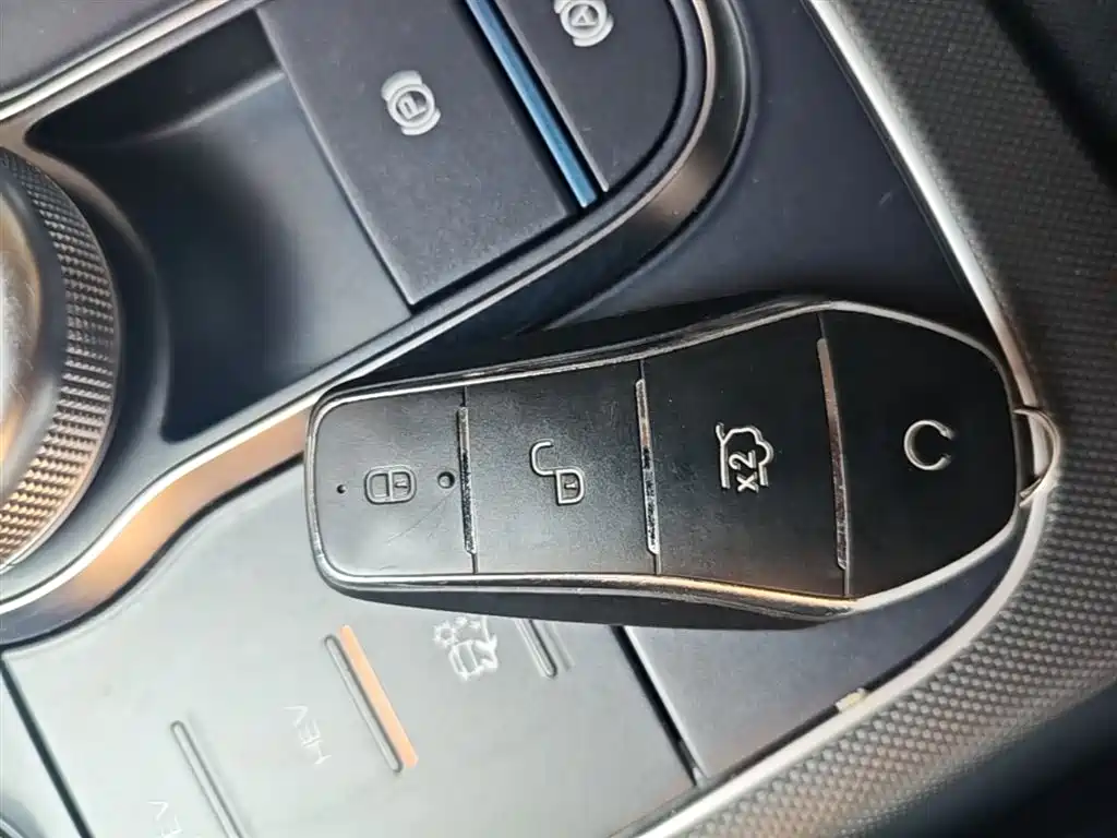 BYD Destroyer 05 2024 Glory Edition DM-i 55KM Luxury фото 9