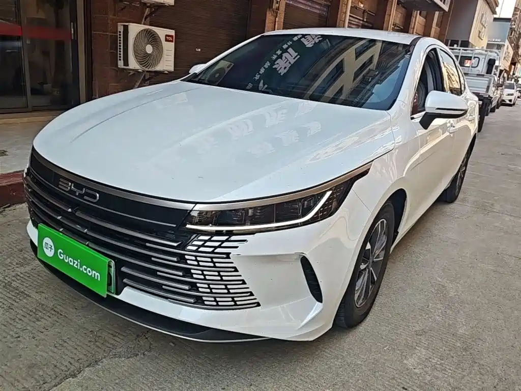 BYD Destroyer 05 2024 Glory Edition DM-i 55KM Luxury фото 2