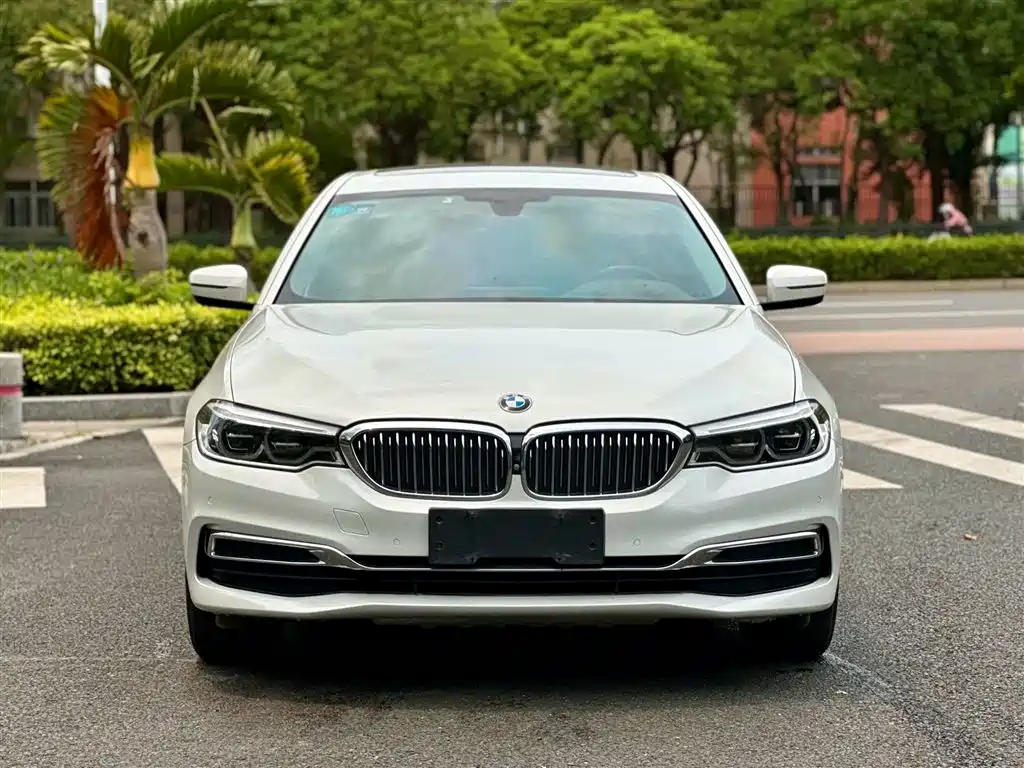BMW 5 Series 2020 530Li Premium Luxury Package фото 3