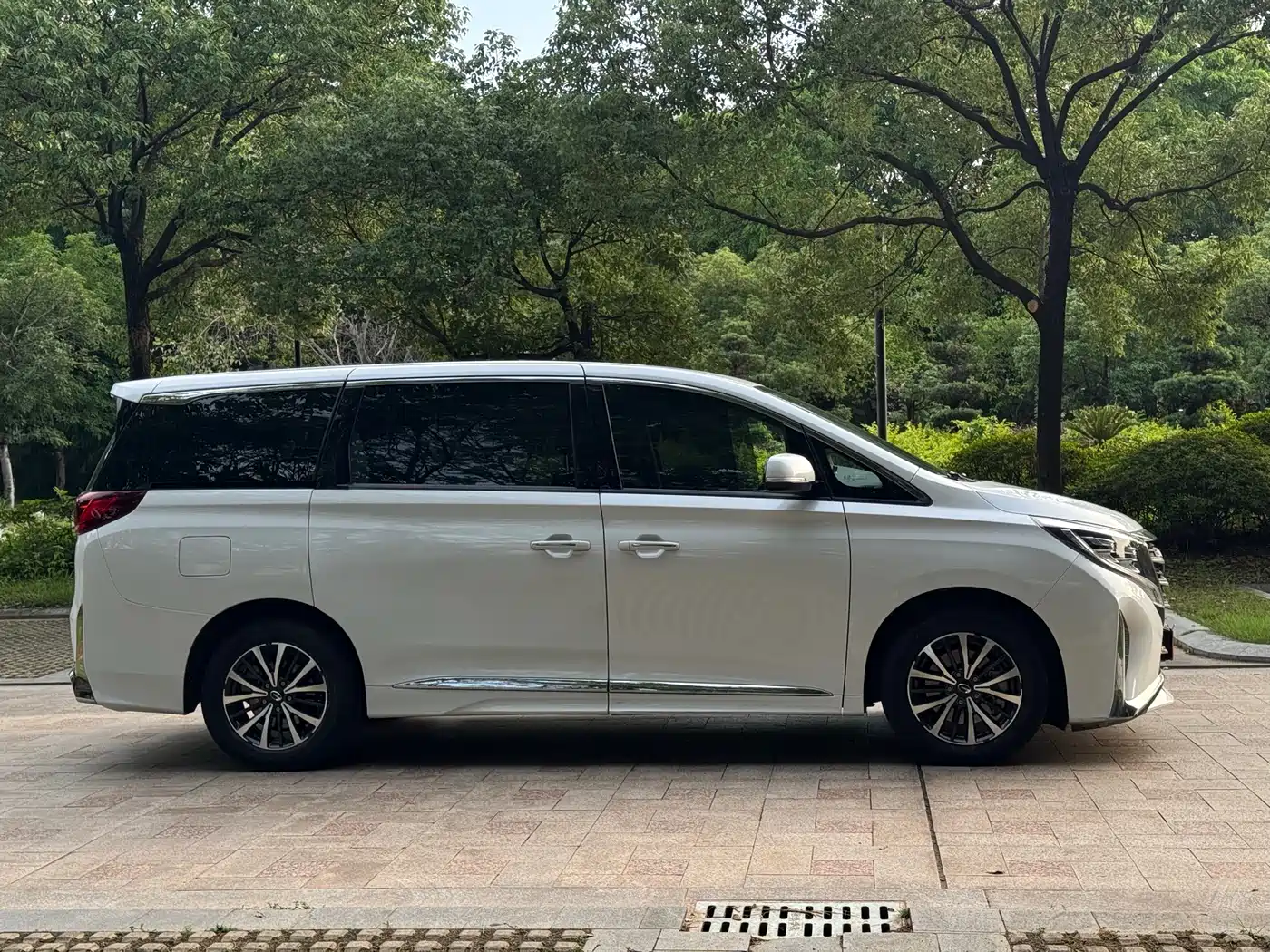 GAC Trumpchi Trumpchi M8 2023 Leading Series 390T Luxury Edition фото 4