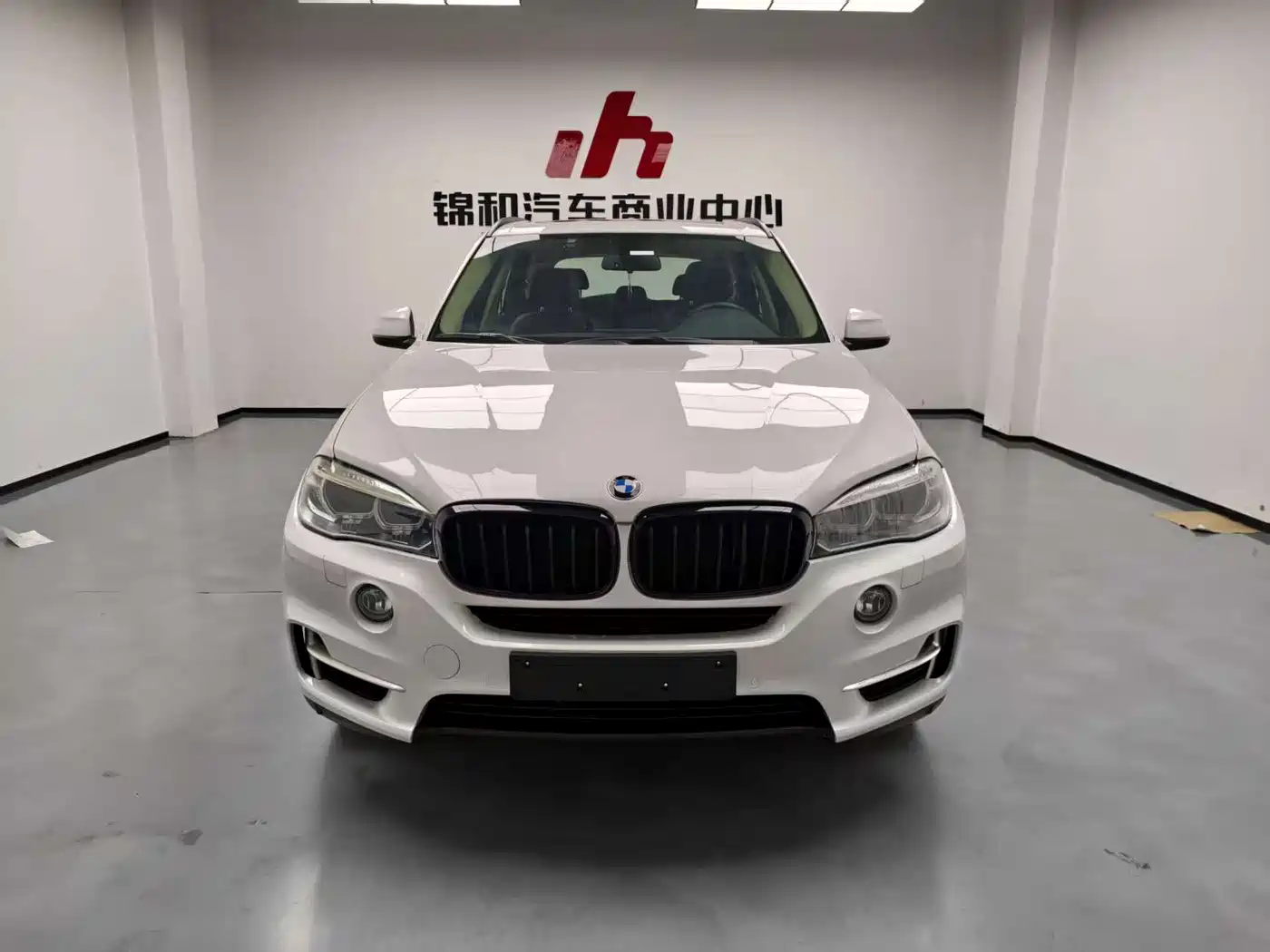 BMW X5 (Import) 2017 xDrive35i Elegance фото 2