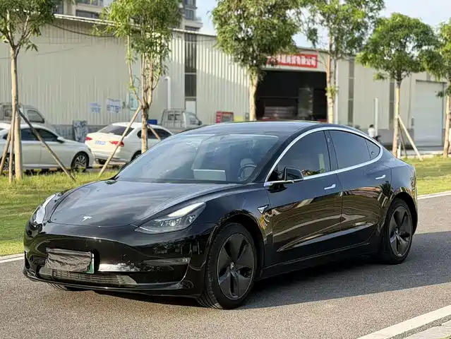 Tesla Model 3 2020