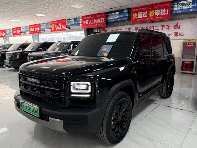 HAVAL RAPTORS NEW ENERGY