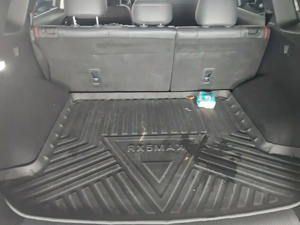 Roewe RX5 MAX 2022 2022 1.5T Auto Youwei Flagship