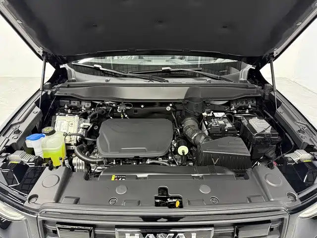 Фото 8 - Haval Big Dog