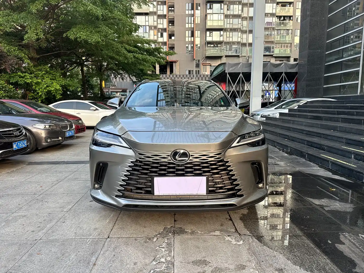 LEXUS RX
