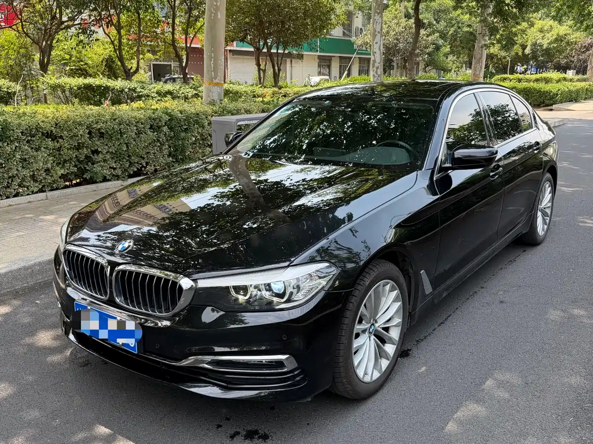 BMW 5 Series 2019 525Li Luxury Package фото 2