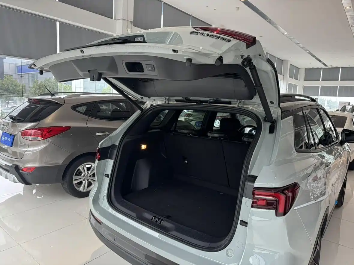 FORD LINGRUI NEW ENERGY