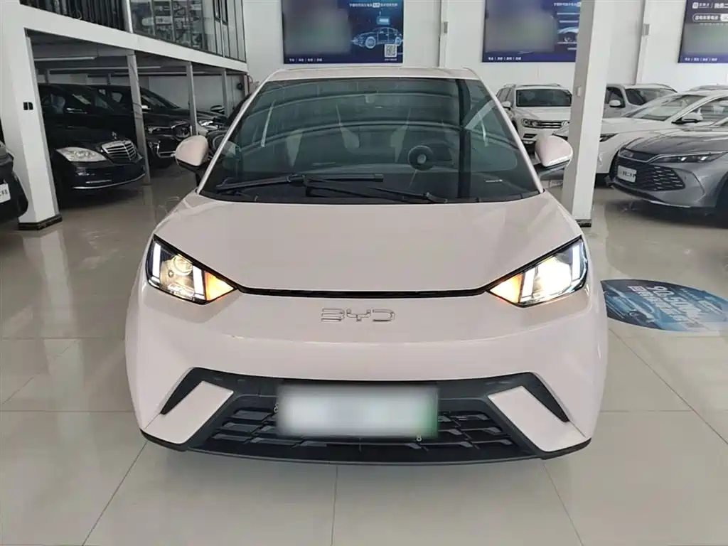 BYD Seagull 2024 Glory Edition 305km Vitality Edition фото 3