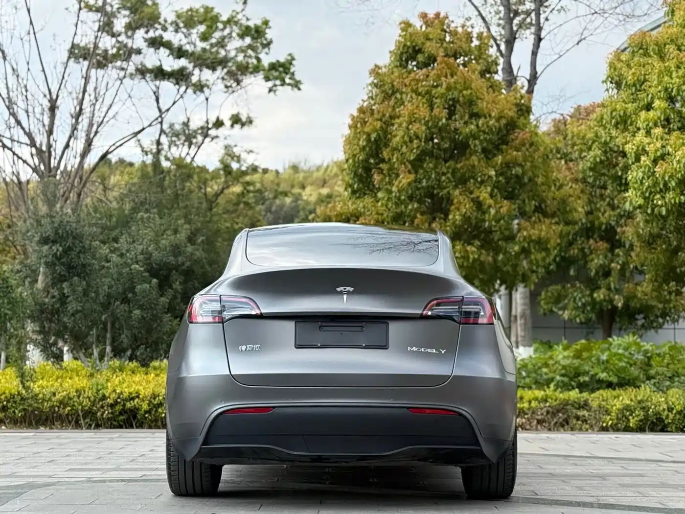 TESLA MODEL Y