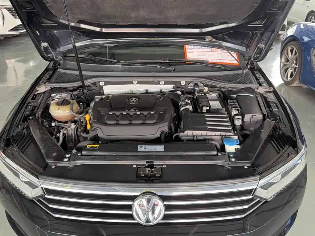 Volkswagen Magotan 2019 330TSI DSG Luxury China V фото 16