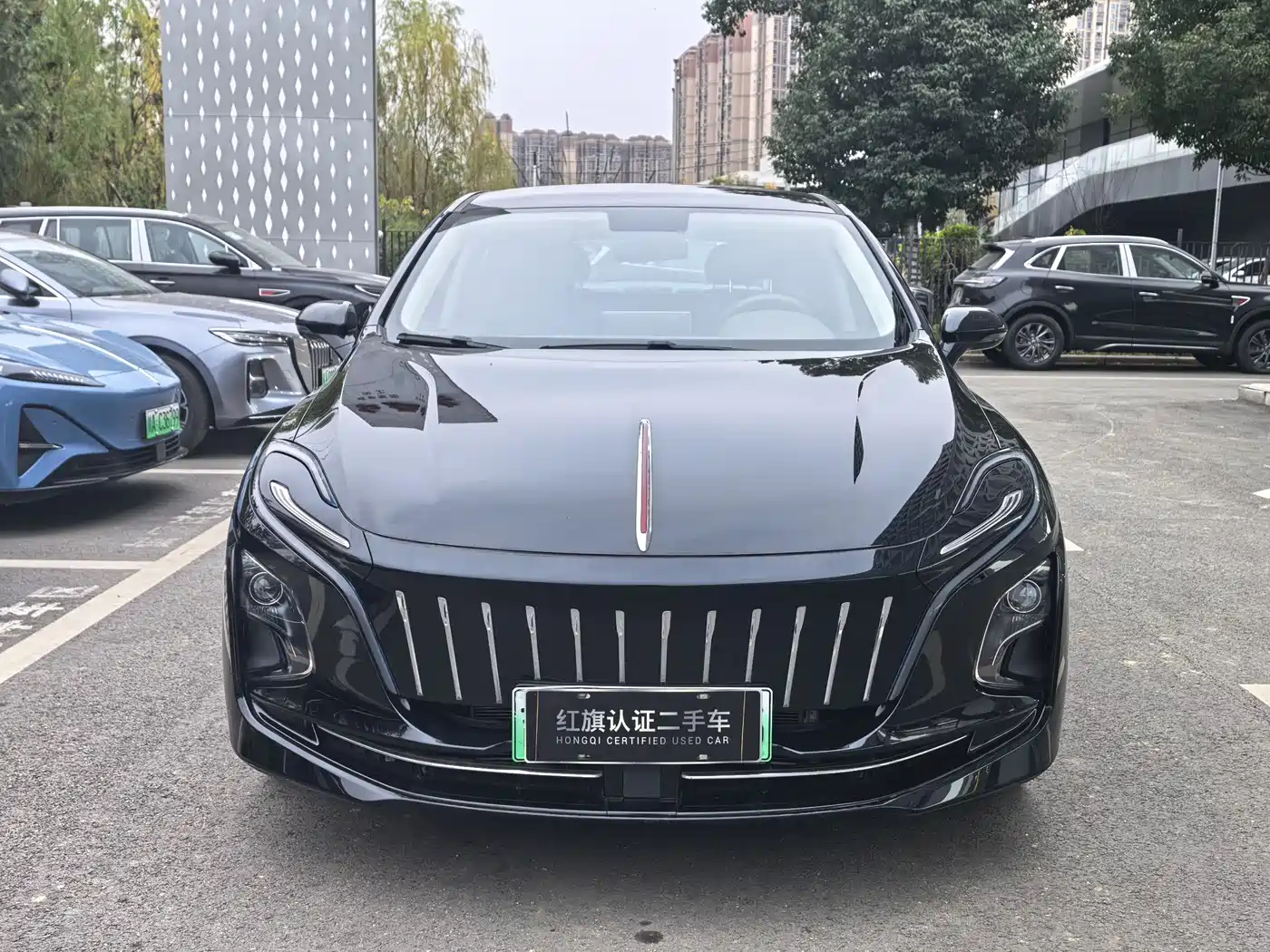 Hongqi E-QM5 2023 Facelift Basic Travel Edition фото 2