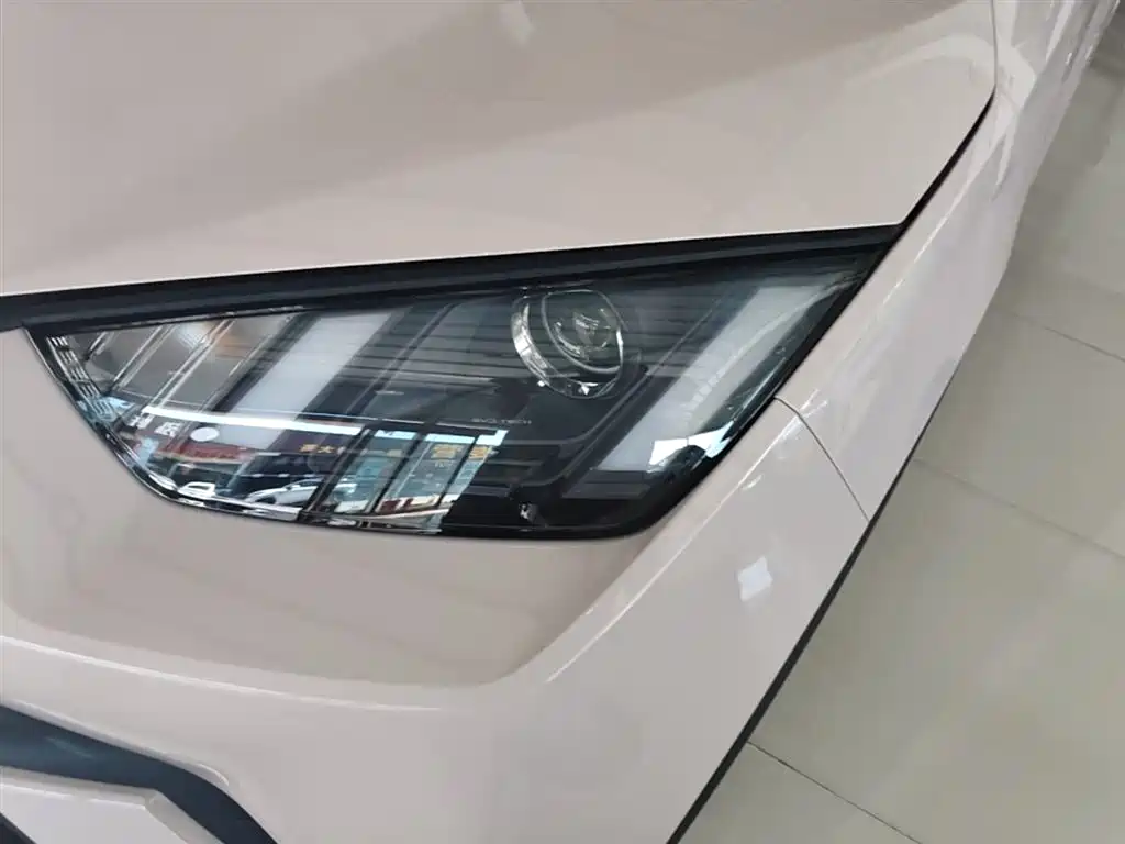 BYD Seagull 2024 Glory Edition 305km Vitality Edition фото 24