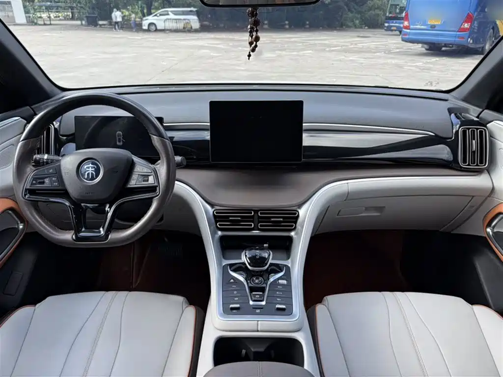 BYD Song Pro New Energy 2022 DM-i 51km Luxury фото 12