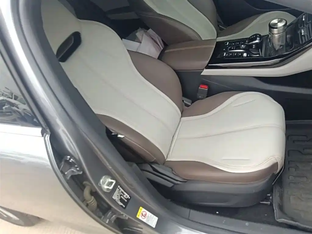 BYD Qin PLUS 2024 Glory Edition DM-i 55KM Leading фото 20