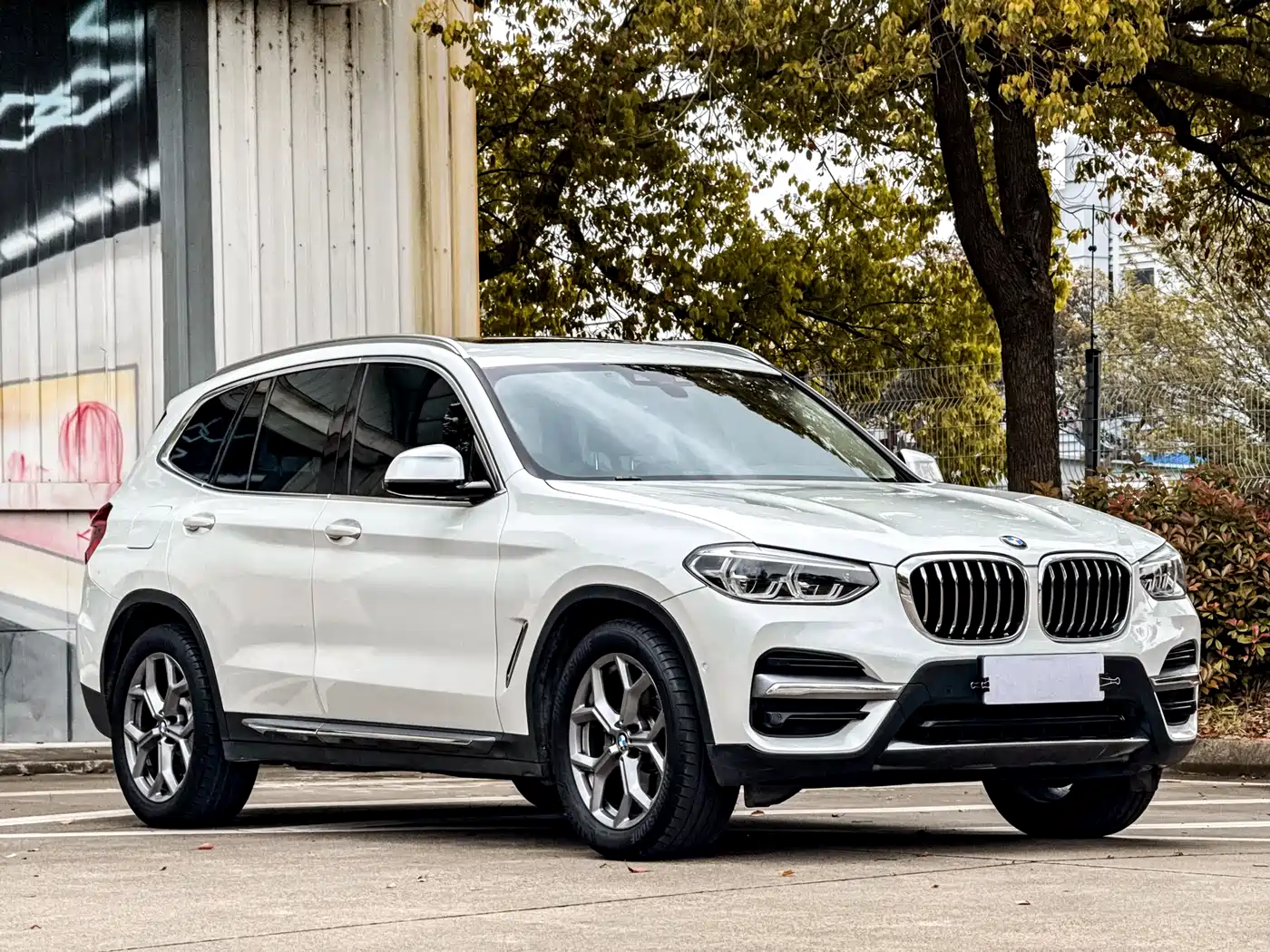 BMW X3 2020 xDrive28i Luxury Package фото 3