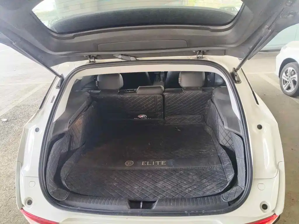 Фото 4 - Buick Velite 6