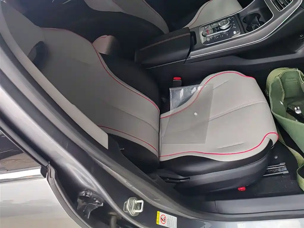 BYD Destroyer 05 2023 Champion Edition DM-i 55KM Luxury фото 25