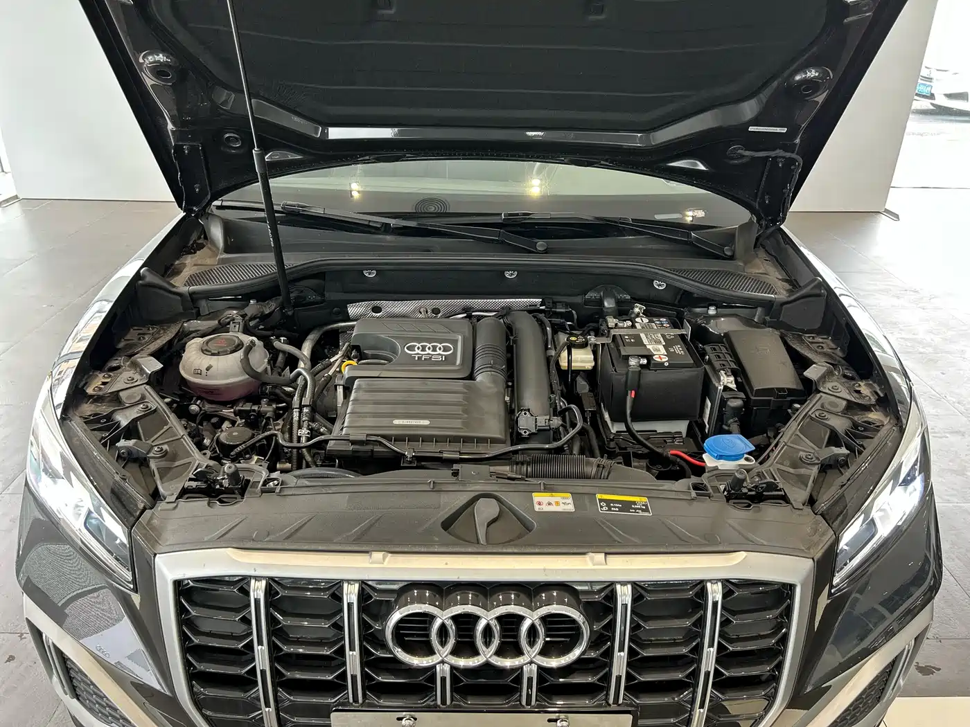 Audi Q2L 2022 35 TFSI Progressive Elegance фото 11