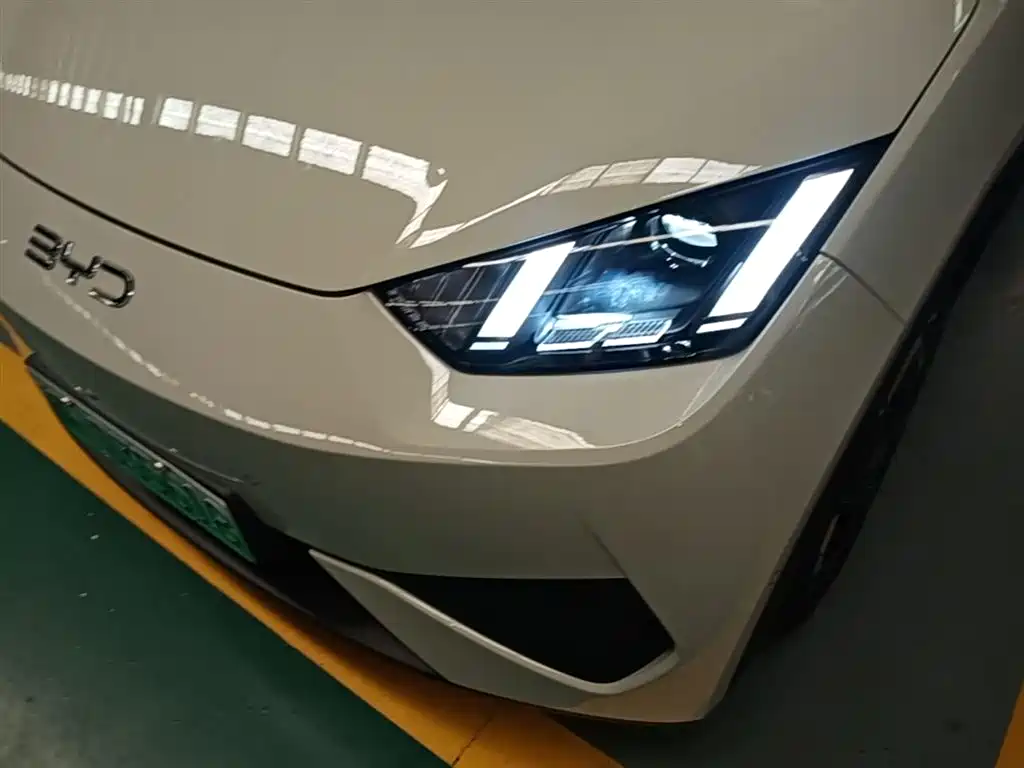 BYD Seagull 2025 Smart Drive Edition 305km Freedom Version фото 24